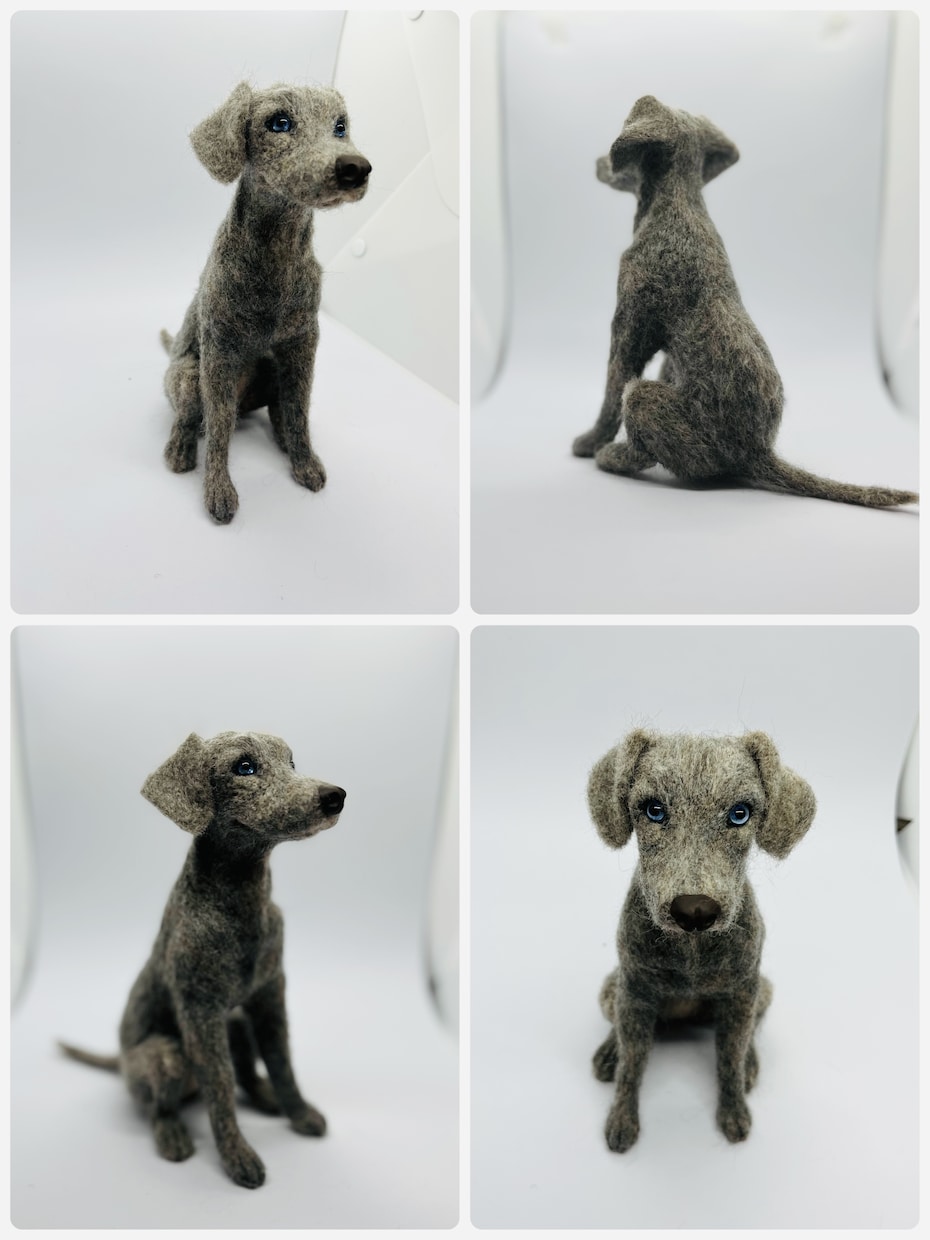 羊毛フェルトで作るリアルな犬の制作方法になります 愛犬さんを羊毛フェルトで作ってみませんか？ イメージ10