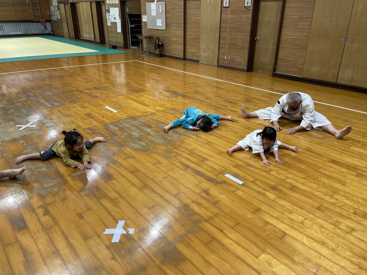 親子でできる運動、護身術など一緒にします 理学療法士で少林寺拳法の先生が分かりやすく伝えます イメージ3