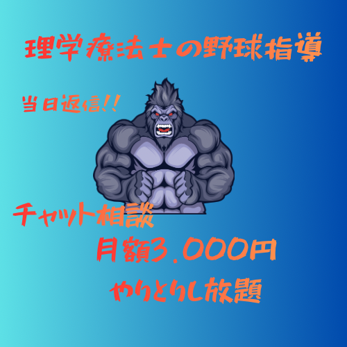 理学療法士が投球動作指導をします 動作分析し、怪我予防、パフォーマンスアップを目指します。 イメージ1