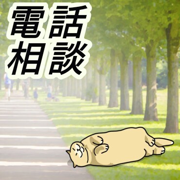 電話相談　話し聞きます 愚痴、今日の出来事、何でも話してくださいね イメージ3