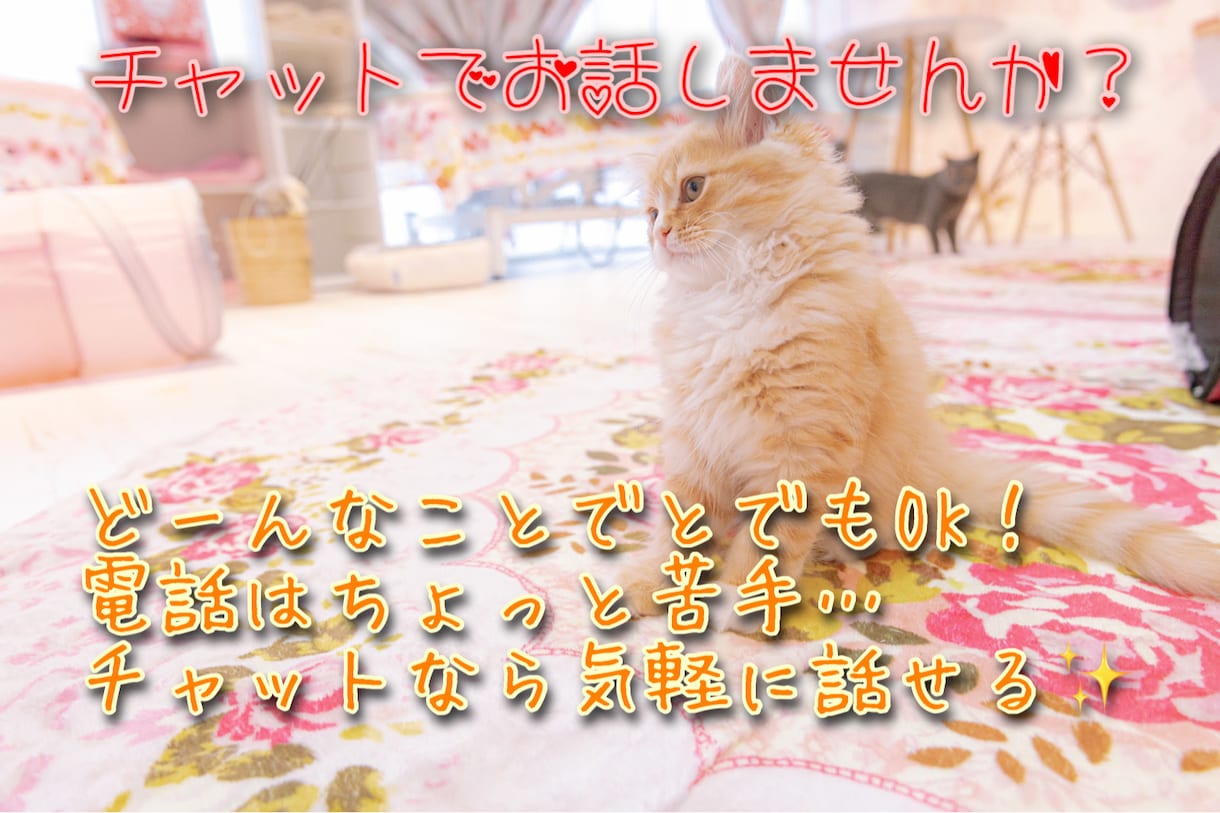 今からのお時間お使いいただけます 今からまったりトークしませんか？～1時間ワンコイン～ イメージ2