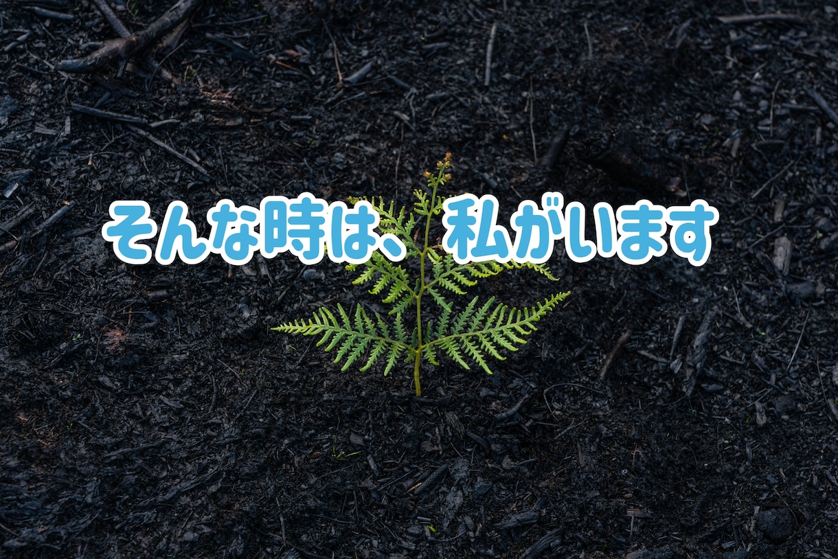 LINE感覚で30分✧あなたの味方になります 仕事❀悩み❀愚痴❀相談❀孤独❀恋愛❀家族など イメージ5