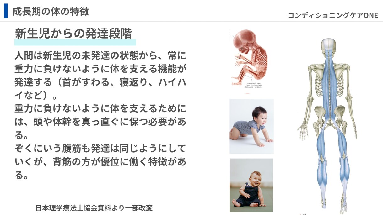 資料を用いて成長期の発達過程をお伝えします 成長期の伸び代を逃さない！アスリートキッズの親は絶対知って！ イメージ7