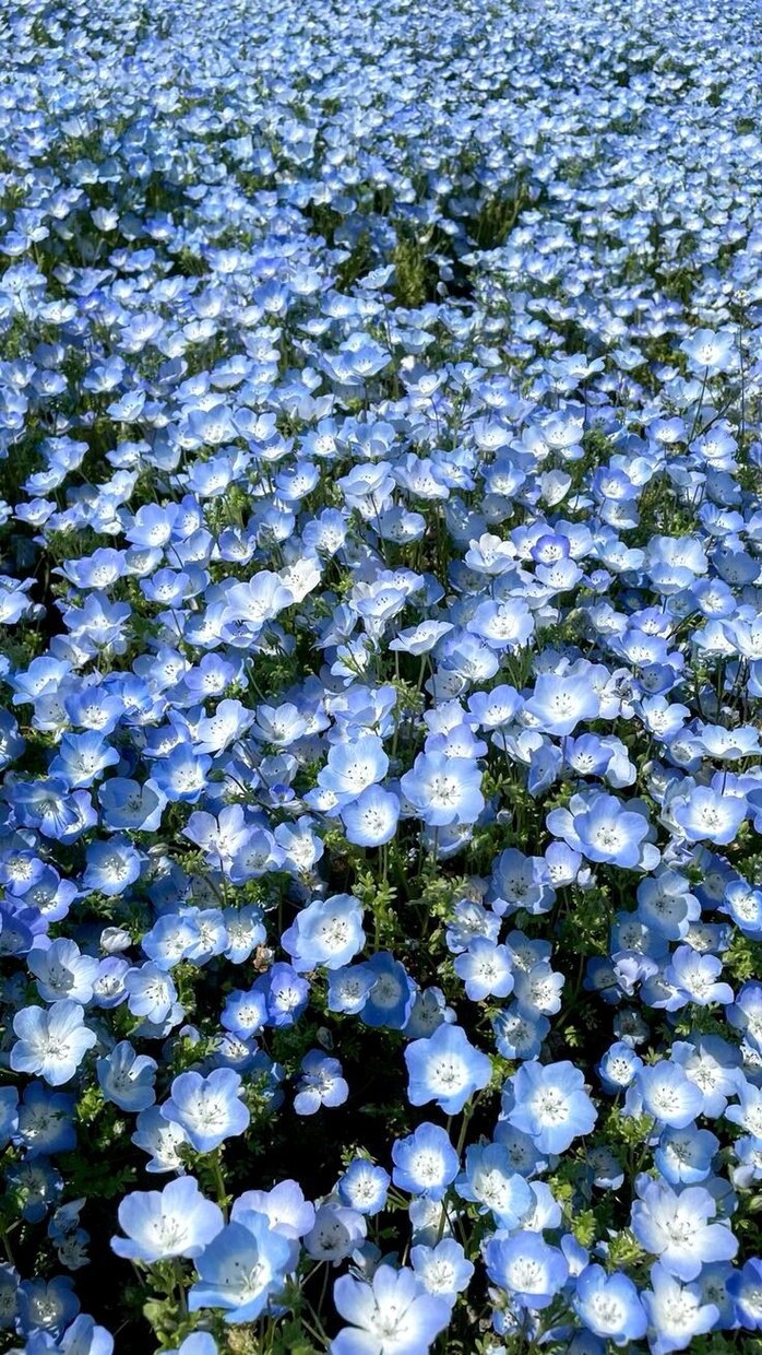 迷いに光を、今すぐ知りたい答えをお届けします YESorNOなど〜片思い・復縁・恋愛相談にも対応〜 イメージ1