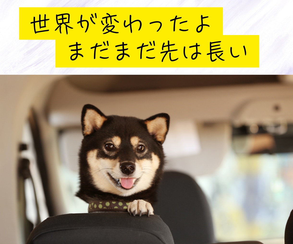 推し活バナシ、聞きます 突然、推し活に目覚めた！この気持ちを分かち合いたい イメージ3