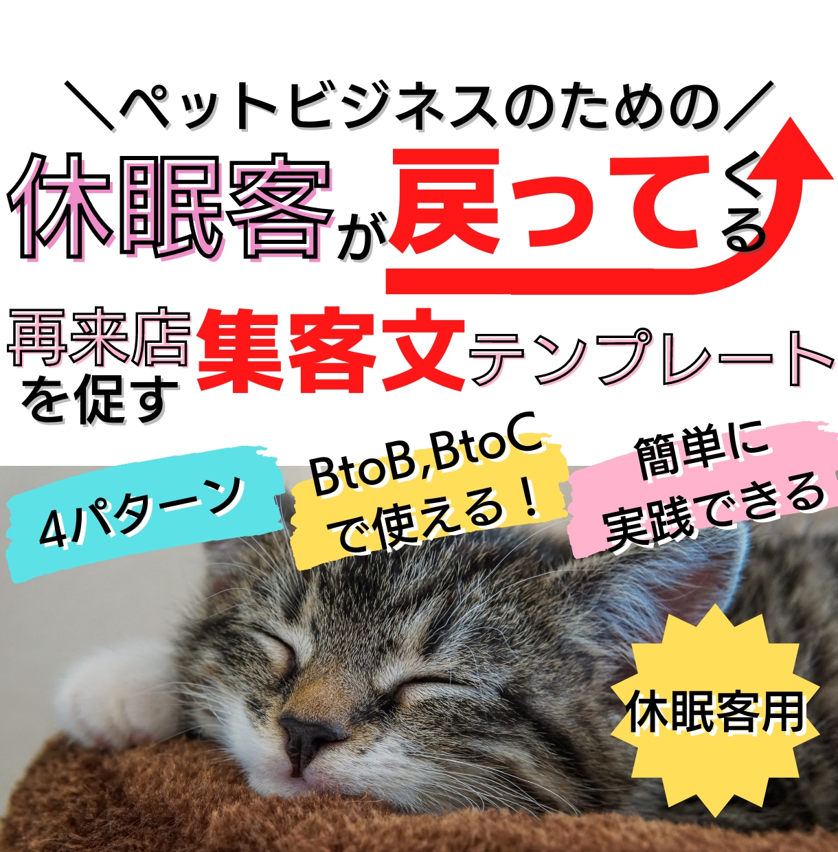 休眠客に再来店を促すDM文のテンプレート販売します しばらく見ない顧客を呼び戻して売り上げにつなげませんか？ イメージ1