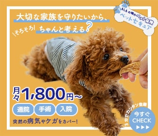 バナーデザイン制作します バナーデザインを低価格でご提案 イメージ2