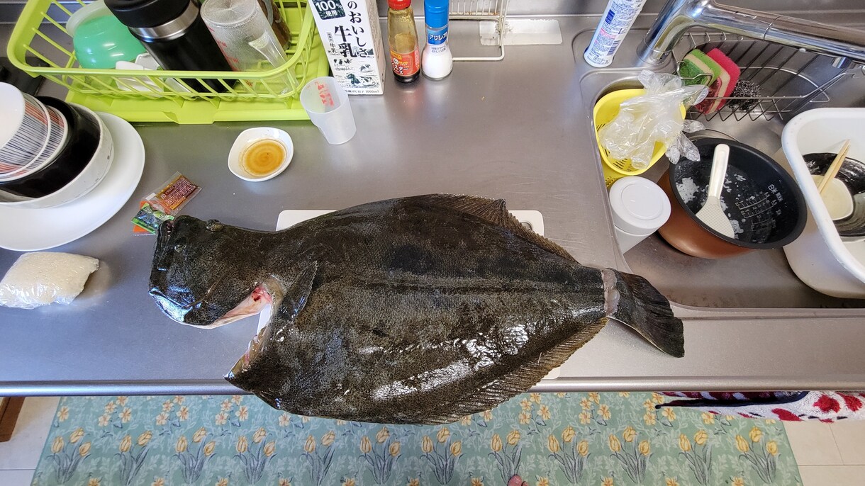 サーフで誰でも簡単にヒラメを釣る方法を教えます ヒラメを誰でも簡単に釣る方法を教えます。（サーフ） イメージ3