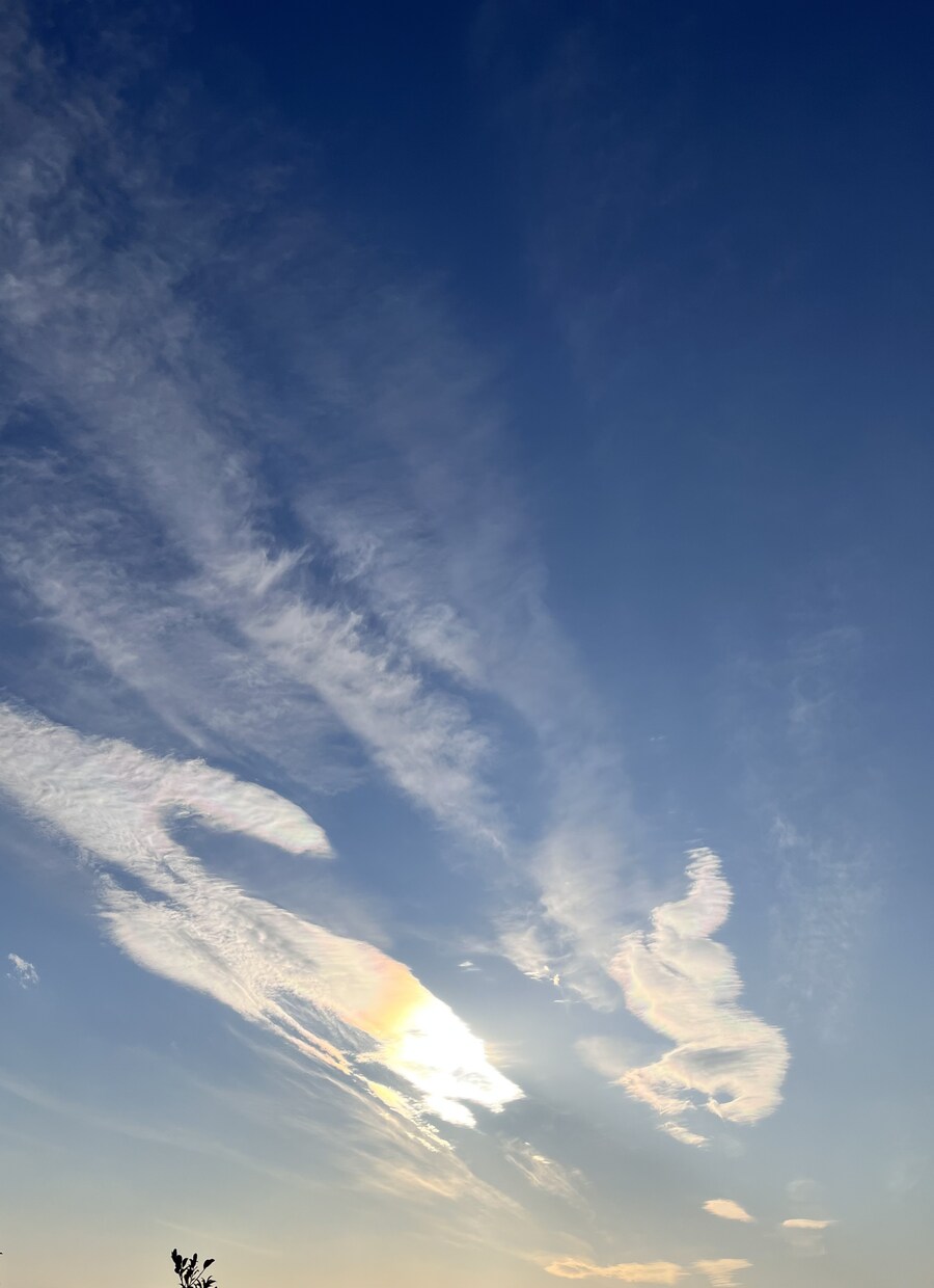悩みを聴いて一緒に答えを探します 誰かにわかってほしい気持ちを一人で抱えている方へ イメージ6