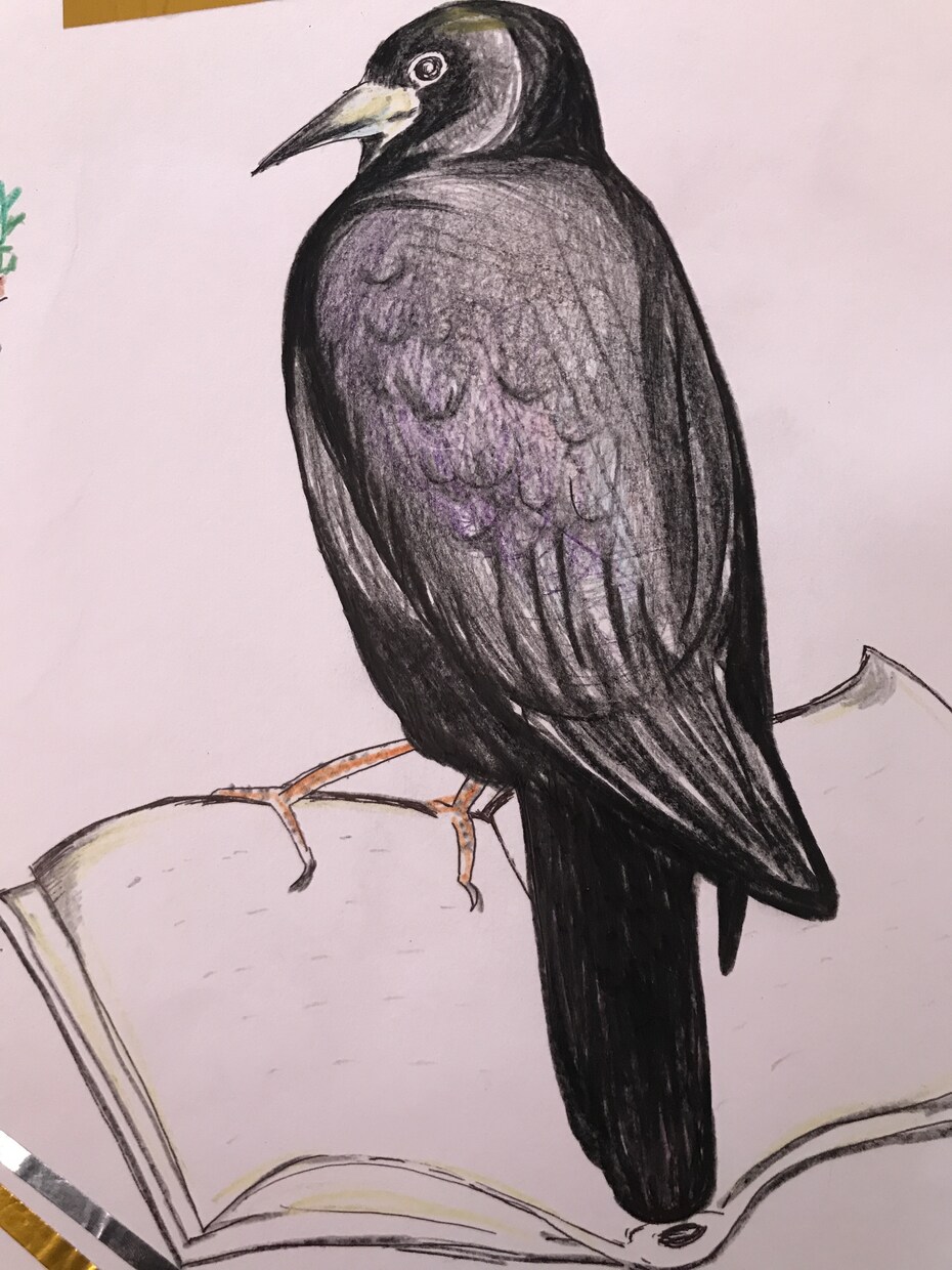鉛筆画、ペン画描きます 似顔絵ほか、描けるものはなんでも描きます！ イメージ3