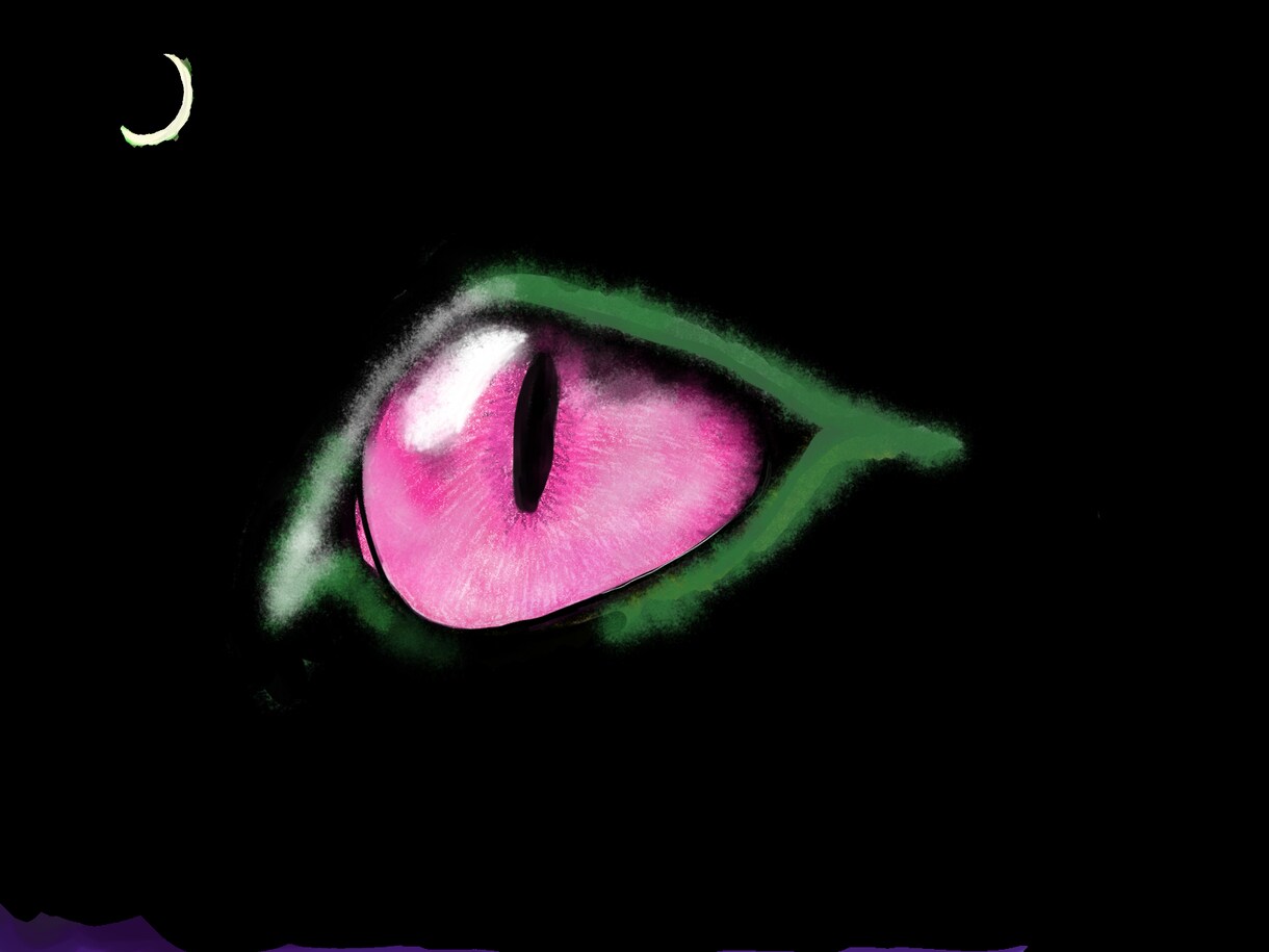 猫の目を専門に書きます キラキラ宝石のような猫の目は魅力的です⭐ イメージ10