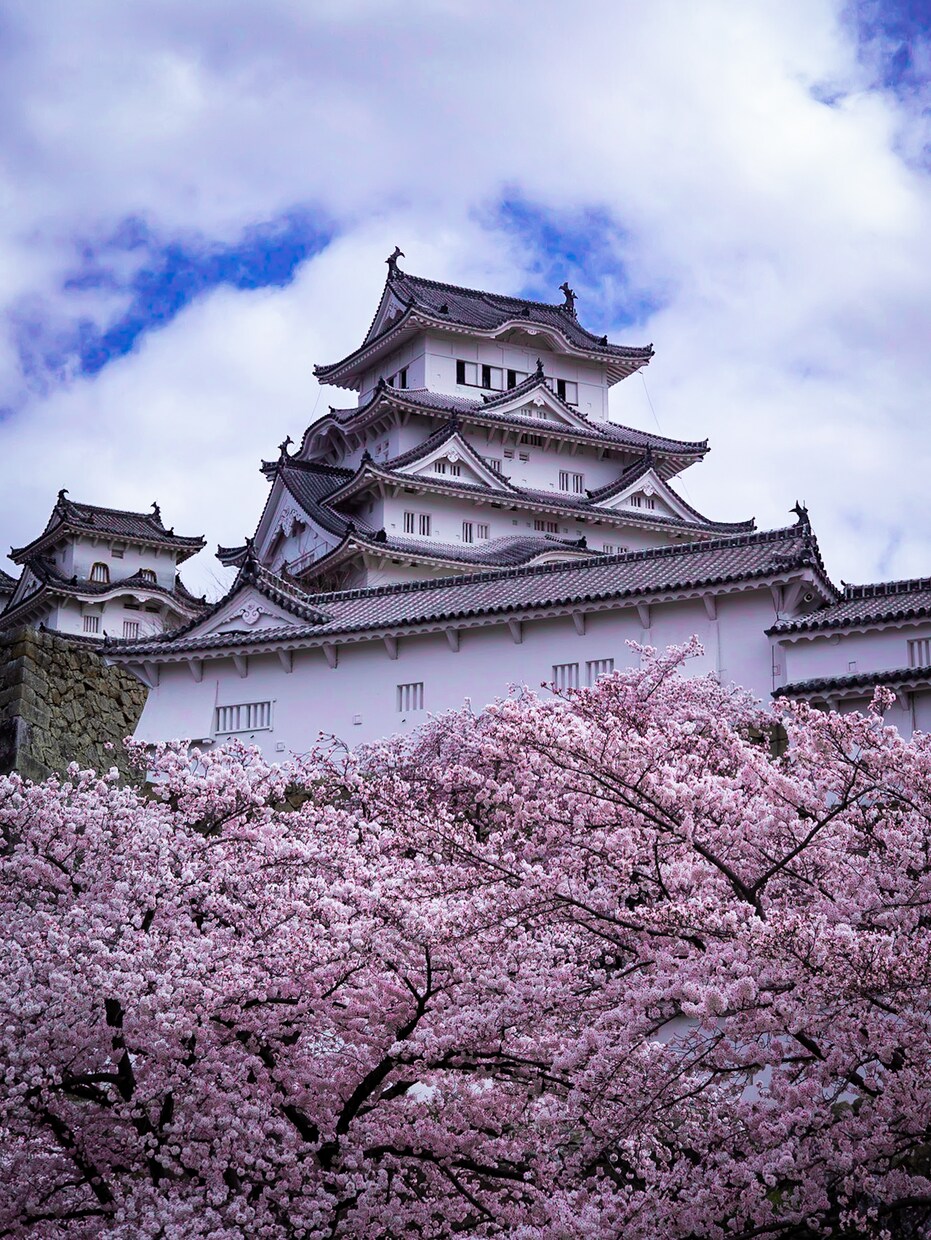 姫路城の撮影代行をします ミラーレス一眼カメラで撮影してレタッチ致します イメージ4