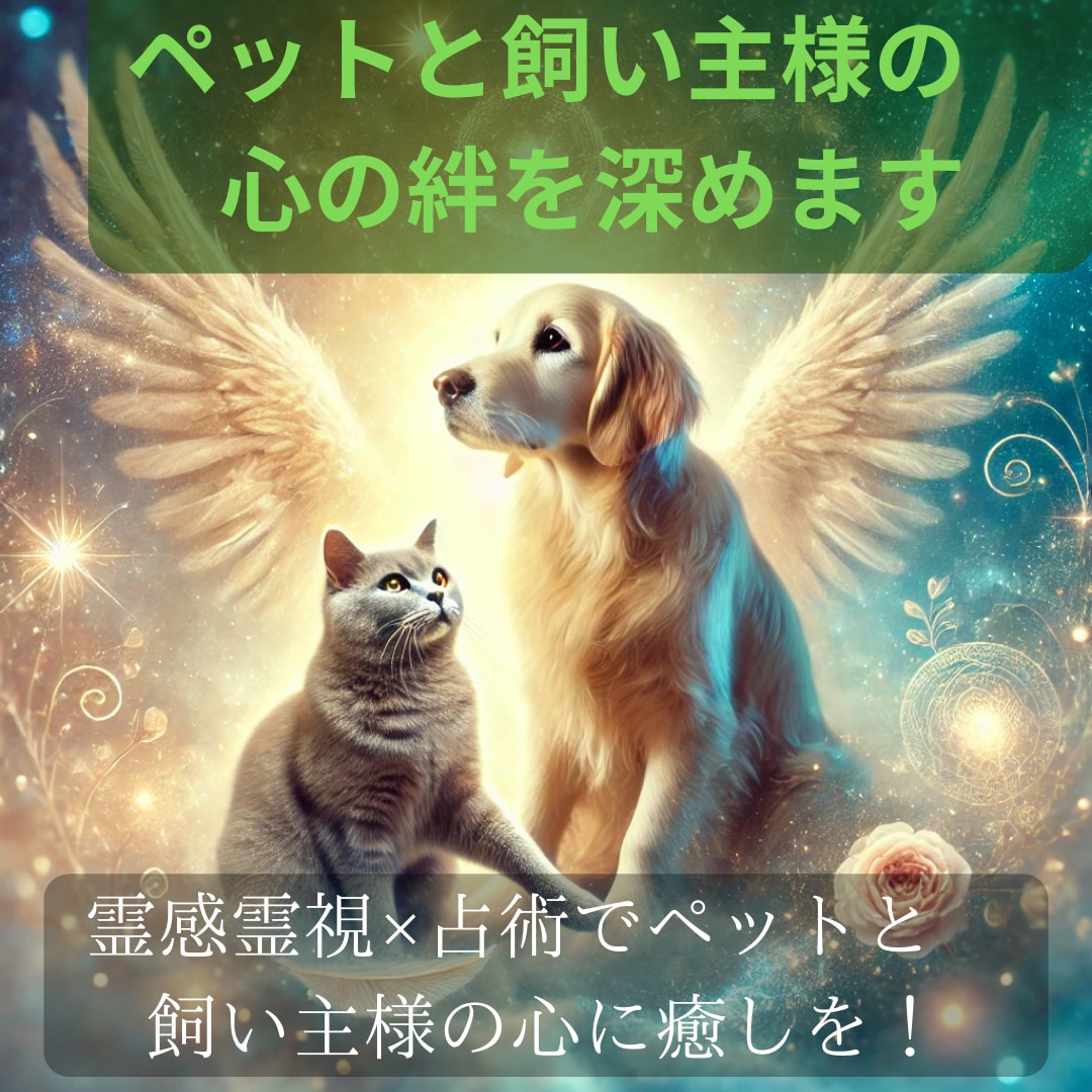 霊感霊視と四占術でペットの気持ちを精密に視ます 大切な家族の気質や本音をロジカルに分析し絆を深めます イメージ1