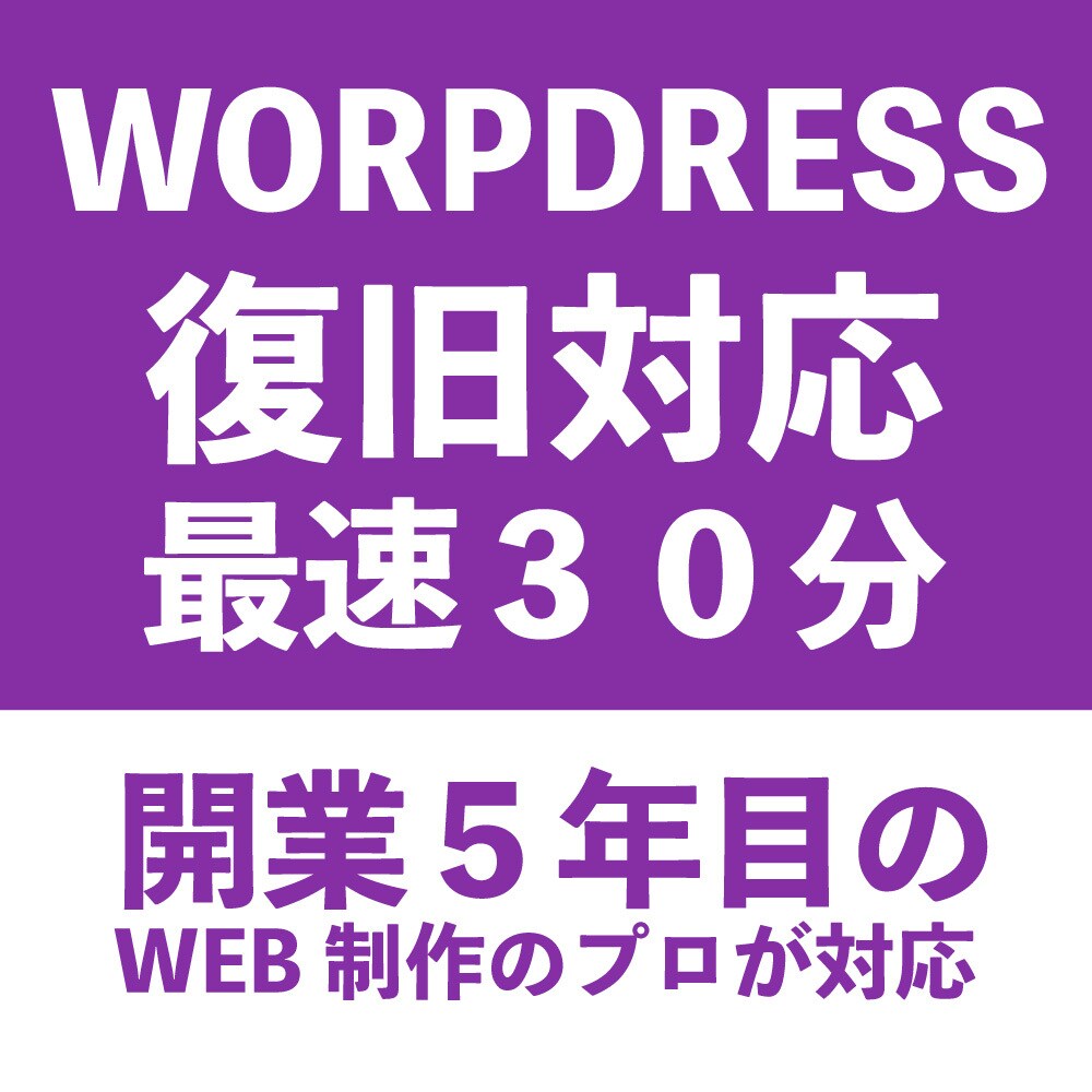 WORDDPRESSのエラー復旧対応致します 最短30分程で対応可能です！エラー・不具合復旧 イメージ1