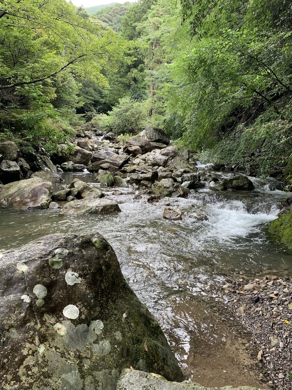 和歌山県のバス釣りポイント教えます 和歌山県の知りたいポイントお教えします。 イメージ1