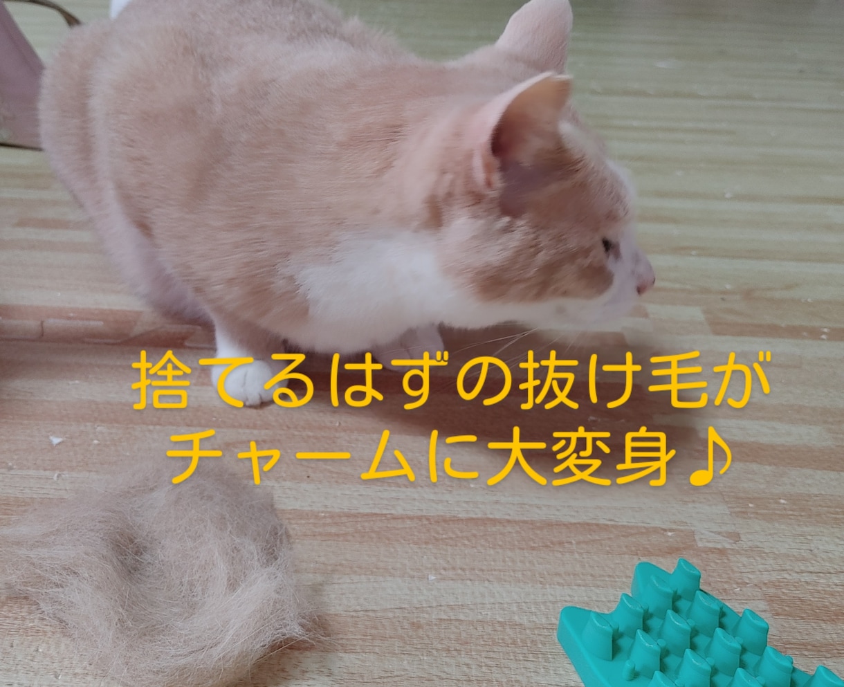 ペットの毛で世界に一つだけのチャームを作ります ペットを連れて行けない場所でもペットを側に感じられます イメージ8