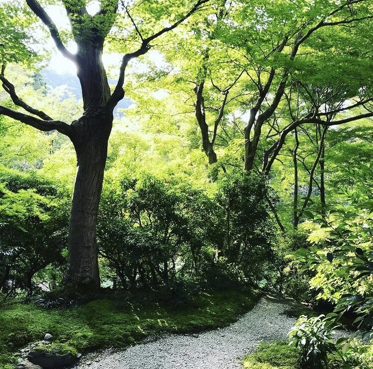 わたし、あなたのお話なんでも聞きます ＊あなたのこと、たくさん教えてください＊ イメージ1