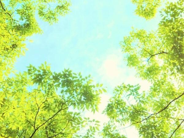 強力浄化ヒーリングエネルギーを送ります 疲れている方、不安な方、元気になりたい方お待ちしています☆ イメージ4