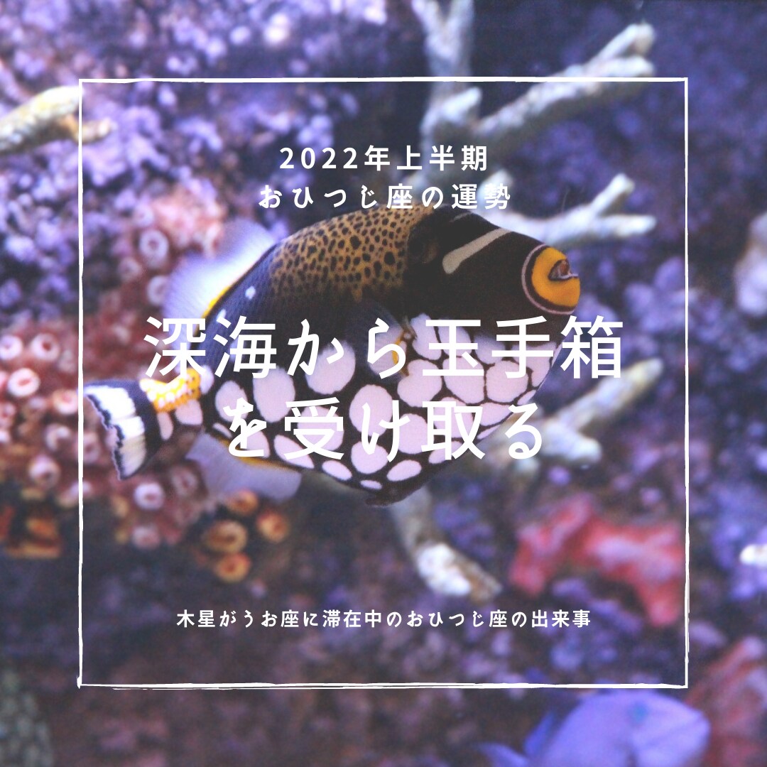 西洋占星術による2022年上半期の運勢をお渡します 時間のないあなたに、ブログやSNSなどに使用可能な運勢鑑定 イメージ2