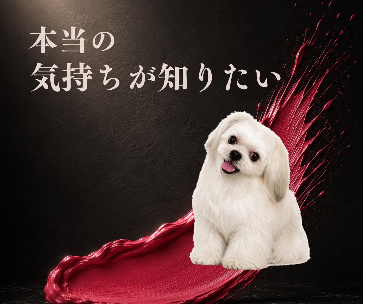 お相手の気持ち・本音│霊感恋愛タロットで占います 彼の気持ち・片思い・LINE・連絡｜本音を読み解きます イメージ1