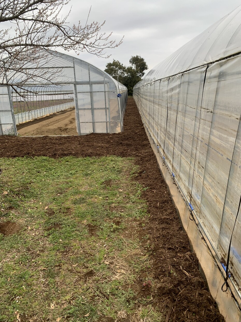 20代農家が一緒に考える家庭菜園ます 現役で有機農業をやってる農家があなたの作物のお医者さんに！ イメージ2