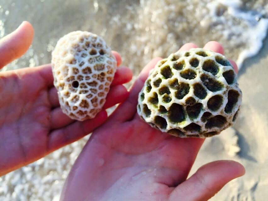 英語が学びたい！トラベル留学！？in OKINAWA イメージ3
