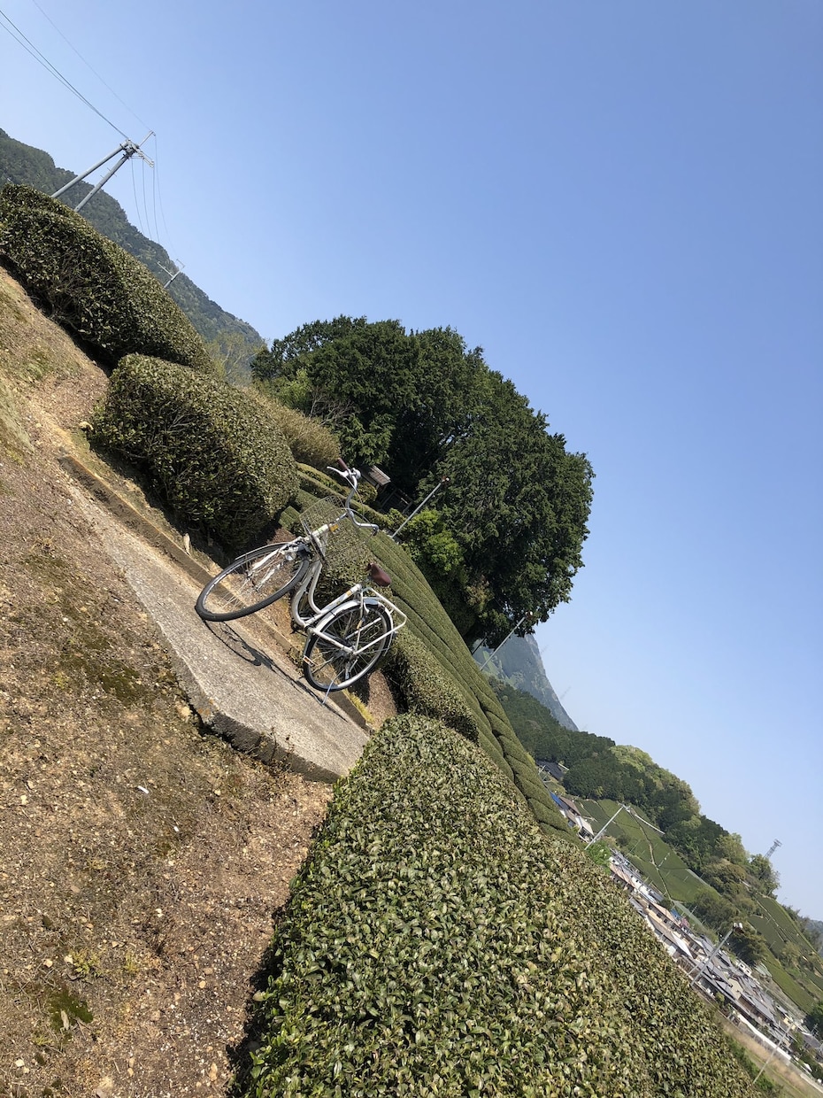 どんな話でもお聞きいたします 人の話を聞くのが好きです。頷きのスペシャリストです。 イメージ1