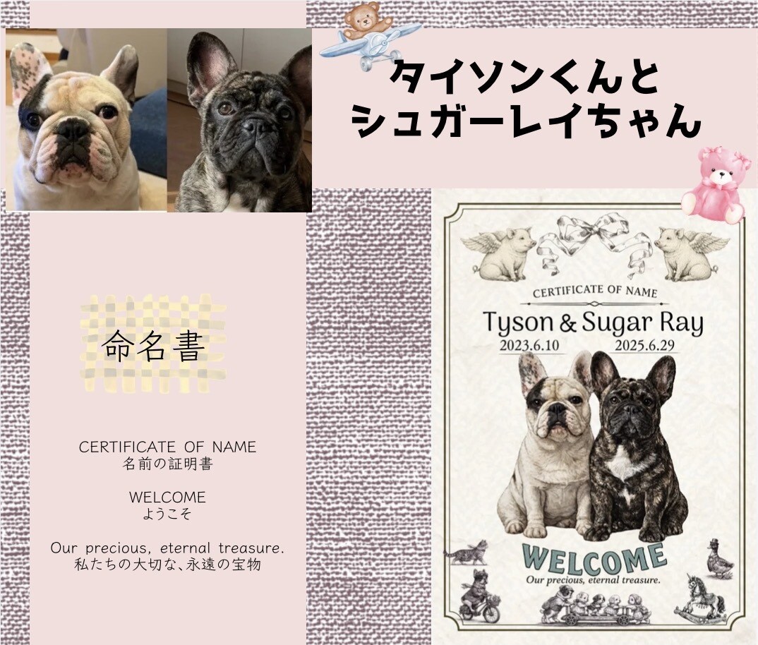 世界にひとつだけのうちの子命名書を作ります あなたの大切な家族を一生残る″かたち″にしませんか？ イメージ9