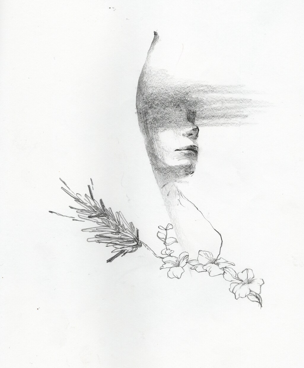 動植物・抽象模様の挿絵やイラストを描きます プロアーティストがあなたにお洒落に目を引くイラストを描きます イメージ9