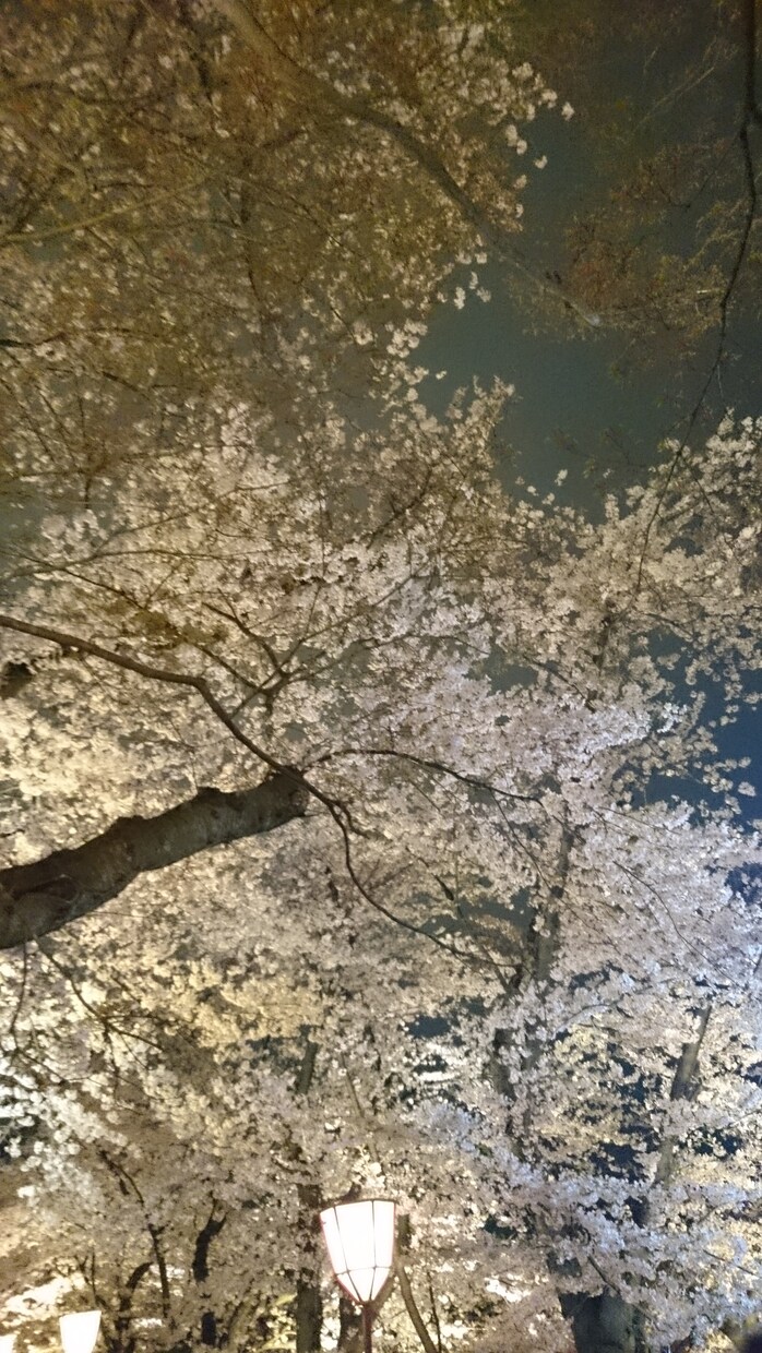 メール相談で、あなたの心の痛みが、少しでも楽になるようにお手伝いしたいです。 イメージ1