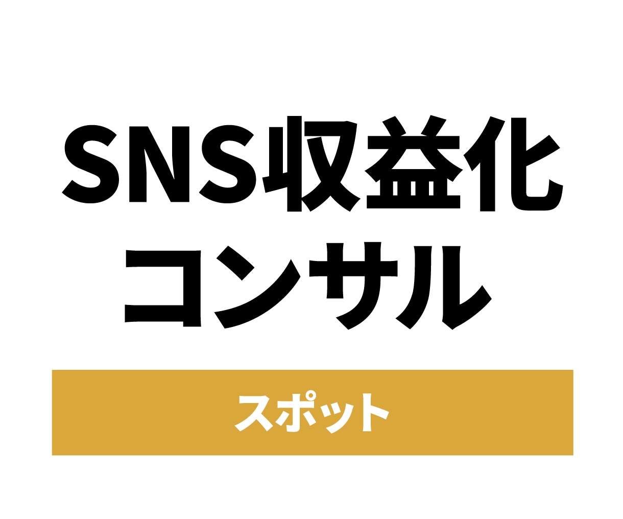 SNS収益化のための伴走型スポットコンサルします 【アカウント設計ご購入者様限定】 イメージ1