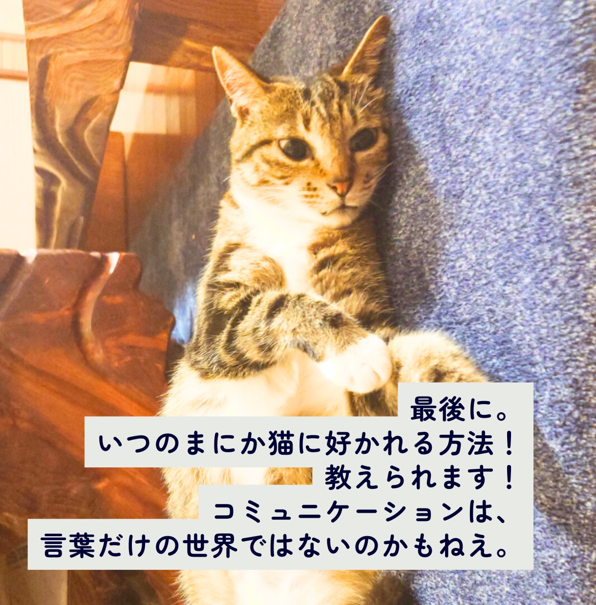 誰にも言えない話を、30分だけ聞きます 職場・家族・恋愛・性｜評価5.0｜質問だけでも大丈夫です イメージ10