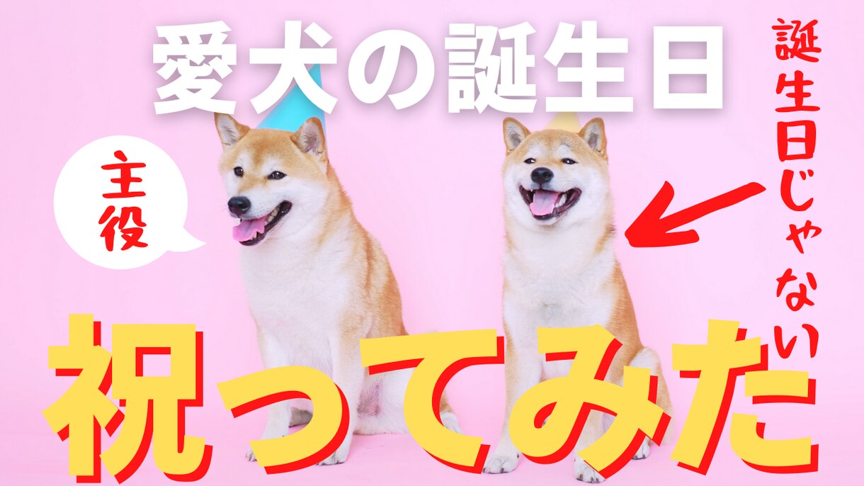 見やすく飽きない動画編集させていただきます 収益化済みYouTubeチャンネルの運用経験を活かした編集！ イメージ4