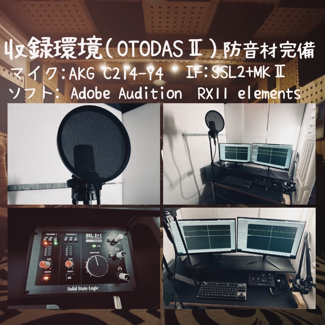 元事務所所属声優が、アナタの作品を最上級に彩ります 【迅速対応】リーズナブルにプロクオリティのボイスをお届け！ イメージ3