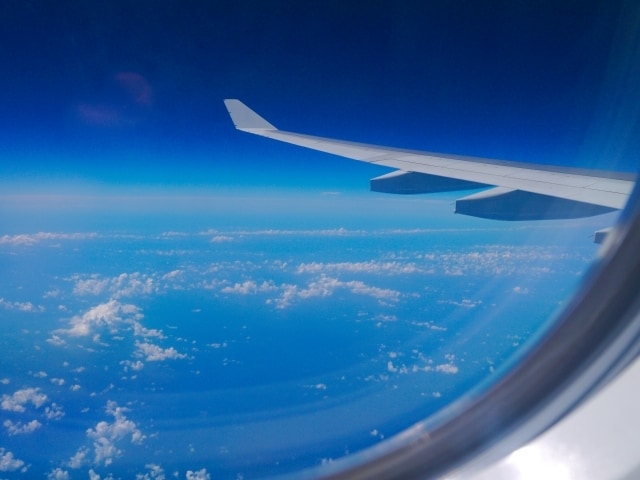 新卒CA受験のご相談承ります 青色の会社で、国内線国際線ともに乗務しておりました。 イメージ1