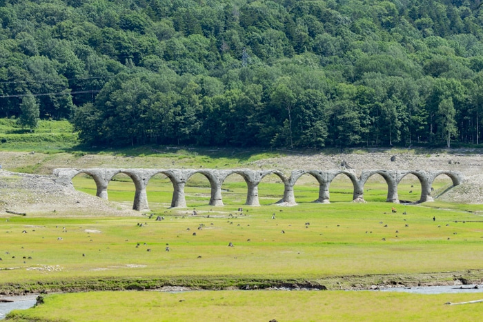 北海道十勝近郊と札幌で代わりに撮影に行きます 北海道在住のプロカメラマンが代行で撮影 イメージ4
