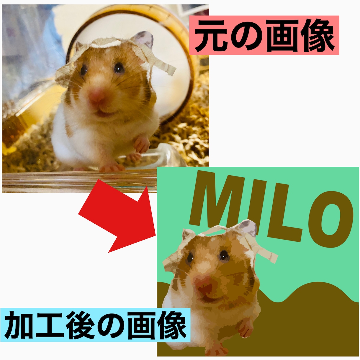 あなたの大切な家族の写真をイラスト化します 待ち受け画像、Tシャツなどのグッズ製作用にも！！ イメージ1