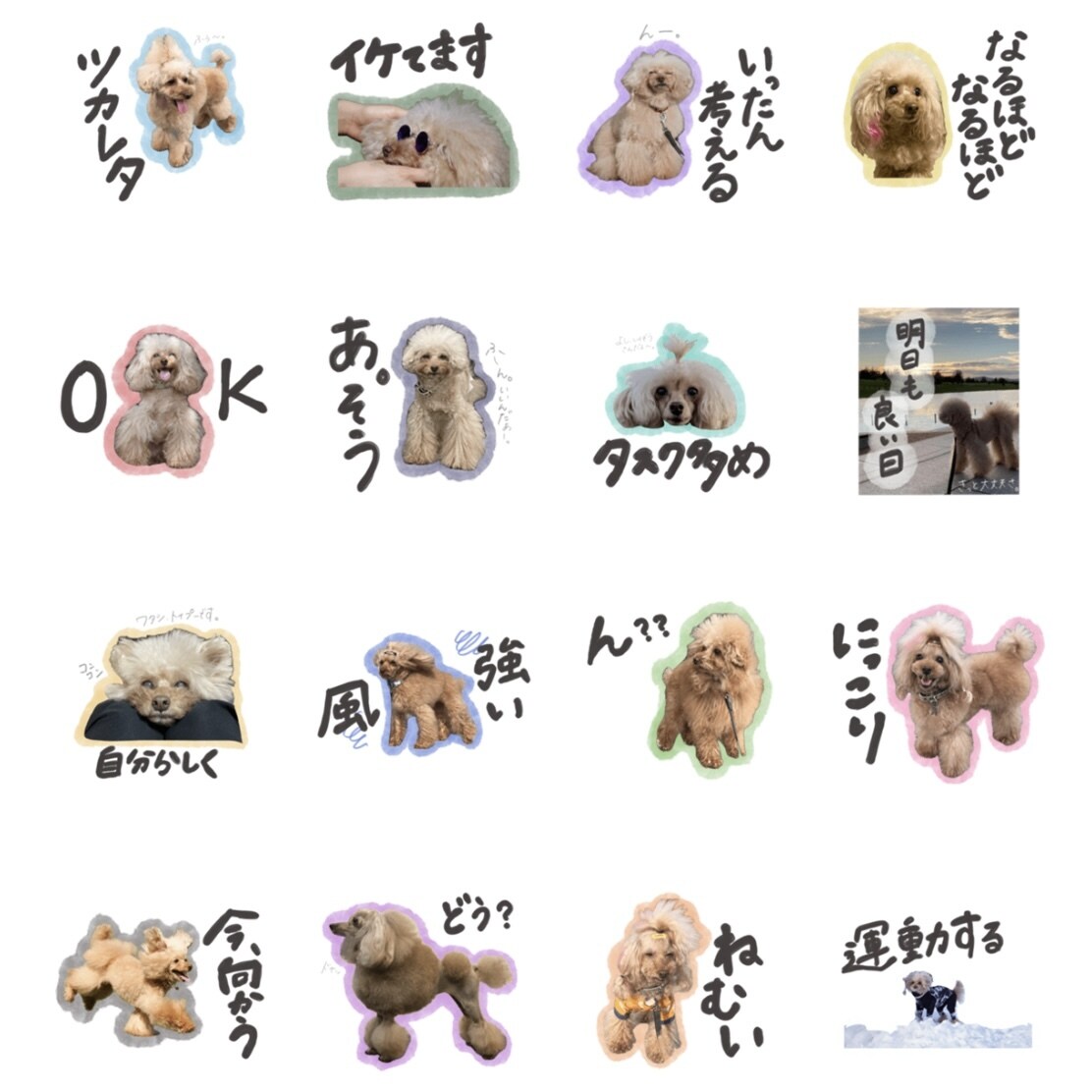 LINEスタンプ作ります 何気ない日常に、そっと幸せを。ぎゅっと想いを。 イメージ6
