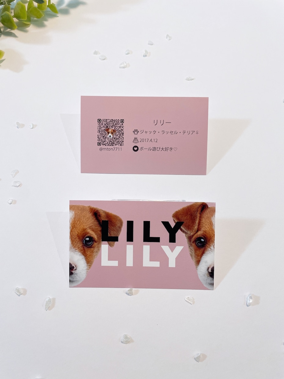 ご家族の可愛いお写真を名刺にします My fam card（マイファムカード）❶／うちの子名刺 イメージ2