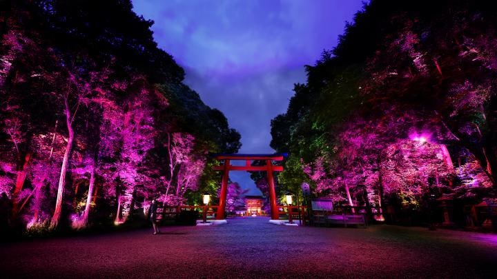 期間限定※恋愛が大得意‼あなたのお悩み解決します 全般見れます恋愛得意です、彼とのこと、未来、時期、出会い等 イメージ1