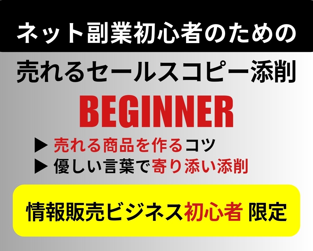 初心者のための売れるコピーライティング添削します 情報販売初心者でもできる。売れる文章の秘訣、ここにあり！ イメージ1