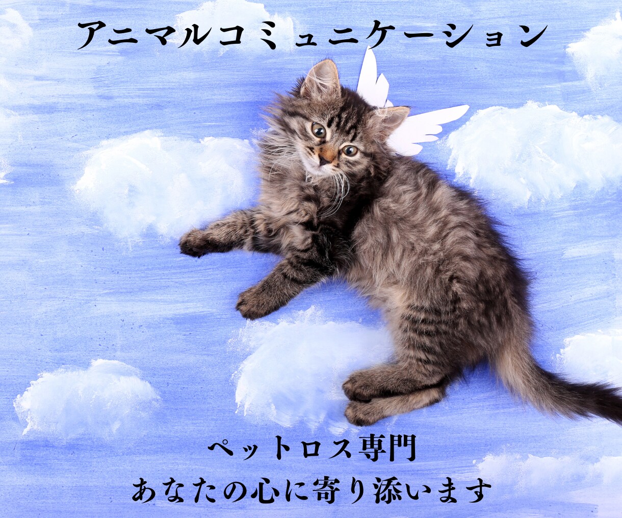 ペットロスの心を癒します アニマルコミュニケーションでペットから「ありがとう」が届く イメージ1