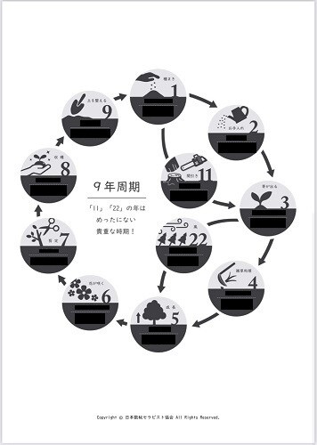 人生の目的と生き方がわかる数秘鑑定書を作成します その人に合わせた具体的なアドバイス付きです イメージ4