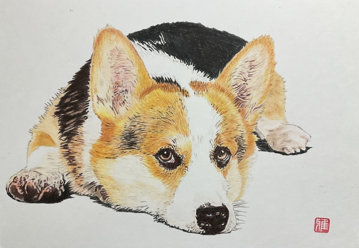 写真をもとにペットの似顔絵を描きます ペット、人物など色鉛筆でA3サイズに描きます。 イメージ7