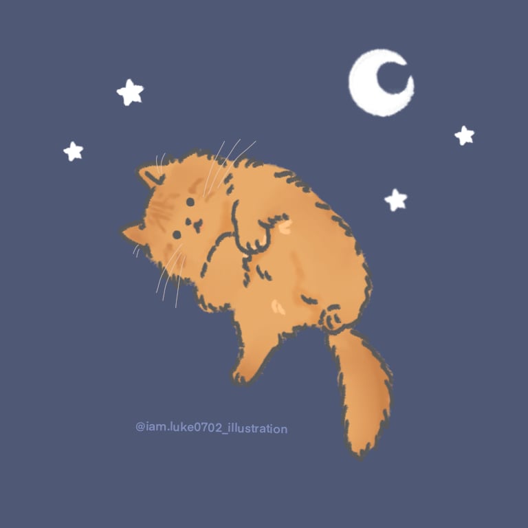 ゆる〜くねこちゃん描きます ゆるくて可愛い♡愛猫を2パターン描きます。 イメージ2