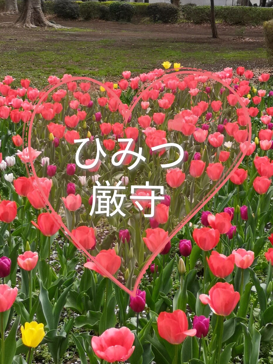 短い時間からOK!です！お話を聴きます 心とからだの両方からのハッピーを目指す健康管理士です。 イメージ3