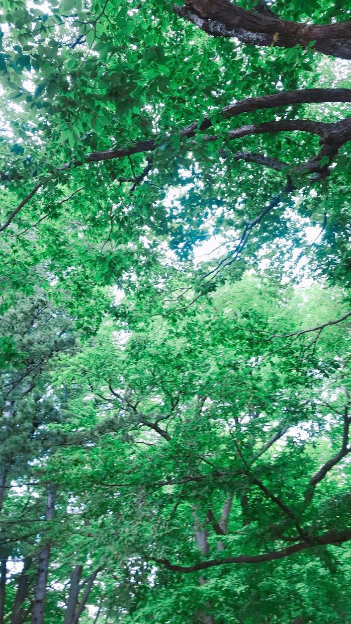 心の不安、楽にします 不安悲しみ苦しみ、気持ちを受け止めます。 イメージ1