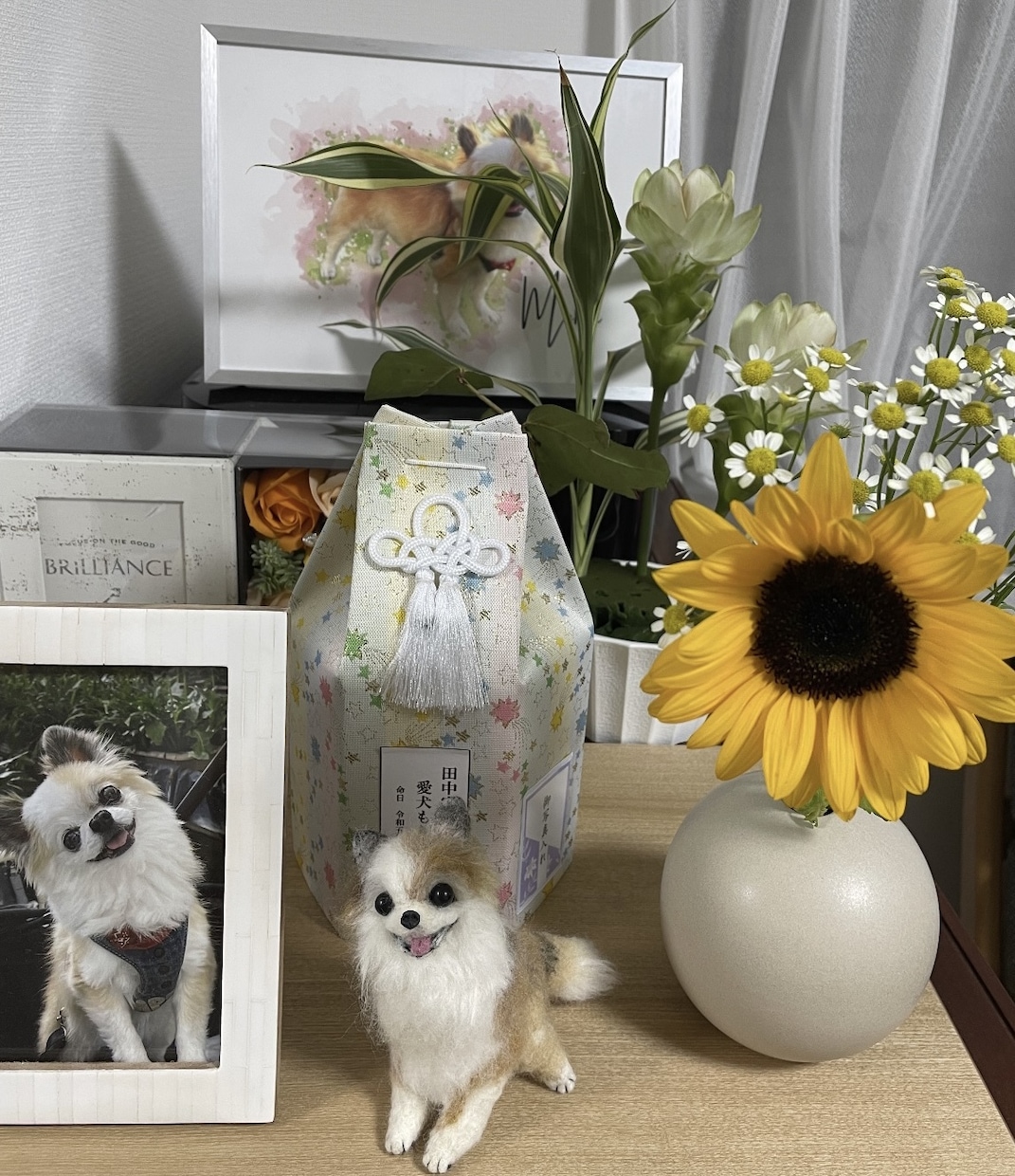 羊毛フェルトで手乗りペットちゃんをお作りします 羊毛在庫の確認の為、ご購入前にお問い合わせ下さいませ。 イメージ2