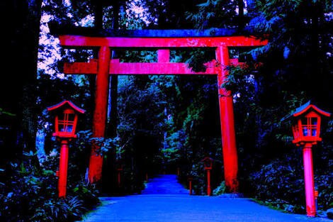 他サイト様でも好評・ タロットカード占術いたします 小さなことでもご相談ください。心を込めて占わせていただきます イメージ1