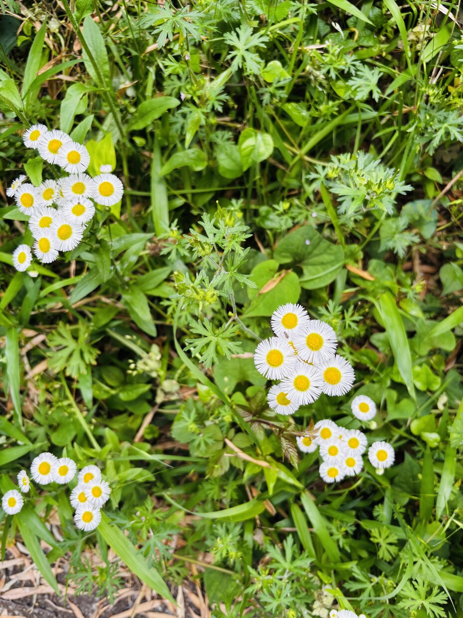 景色や花等、風景写真を撮っています 行けないところの景色を提供します。 イメージ1
